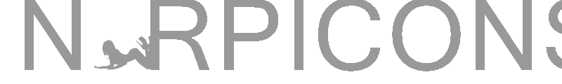 N0RPICONS1