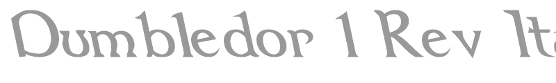 Dumbledor 1 Rev Italic