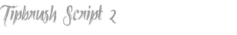 Tipbrush Script