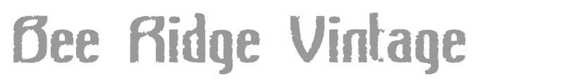 Bee Ridge Vintage