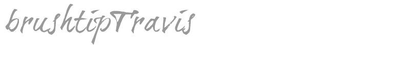 Brush Tip Travis