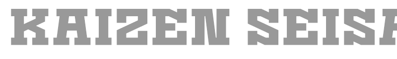 Kaizen Seisaku
