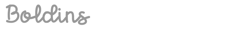 Boldins