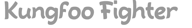 Kungfoo Fighter